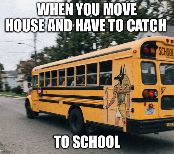 I apologise in advance | When you move house and have to catch; To school | image tagged in bus,new,anubis,school bus | made w/ Imgflip meme maker