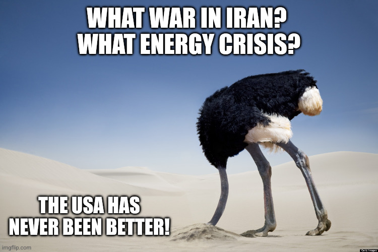 What war in Iran? 

What energy crisis? The USA has never been better! | image tagged in ostrich head in sand | made w/ Imgflip meme maker