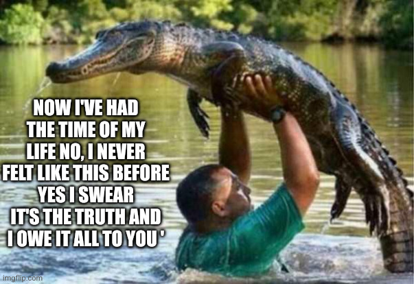 Love inspires | Now I've had the time of my life No, I never felt like this before Yes I swear it's the truth And I owe it all to you ' | image tagged in gator,memes,dirty dancing,lift,still a better love story than twilight,sweetheart | made w/ Imgflip meme maker