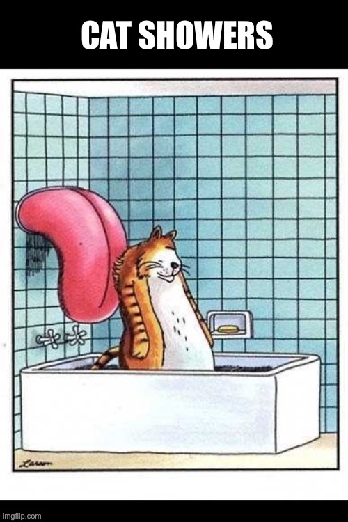 That’s pretty fancy | Cat showers | image tagged in cats,the far side,comics,cat showers,giant tongue,fancy | made w/ Imgflip meme maker