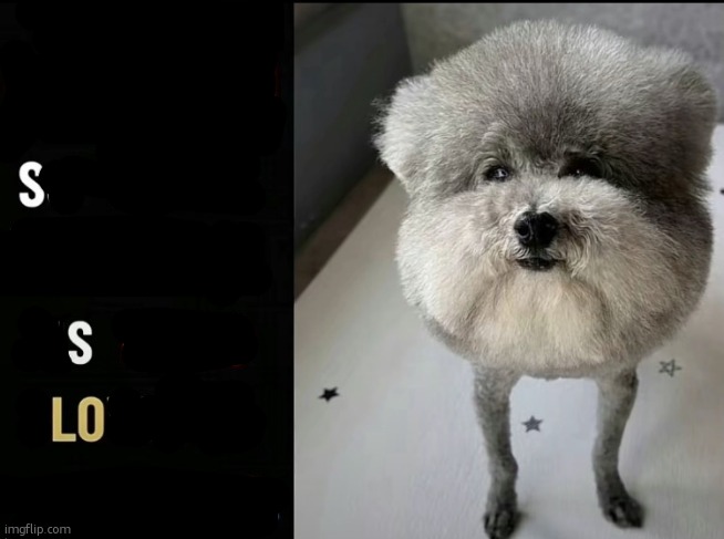 loss | made w/ Imgflip meme maker