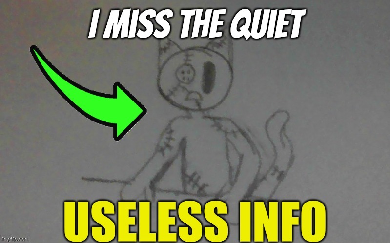 I cant deny it | I miss the quiet | image tagged in puffy useless info | made w/ Imgflip meme maker