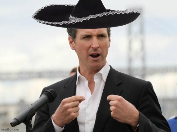 Greasy Gavin look at me Blank Meme Template