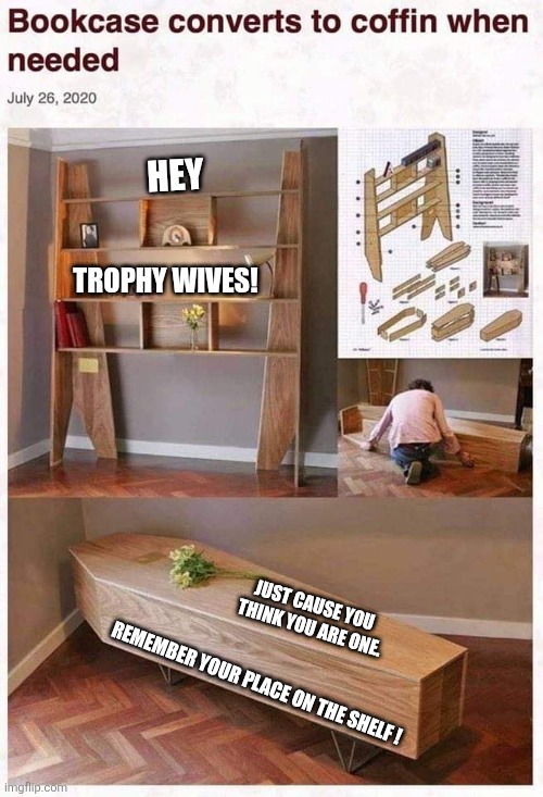 Bookcase Coffin | Hey; Trophy Wives! Just cause you
 think you are one. Remember your place on the shelf ! | image tagged in bookcase coffin | made w/ Imgflip meme maker
