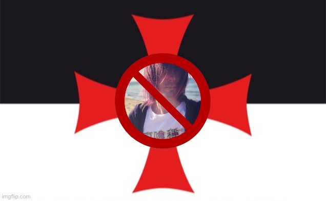 Anti hpad crusader flag Blank Meme Template