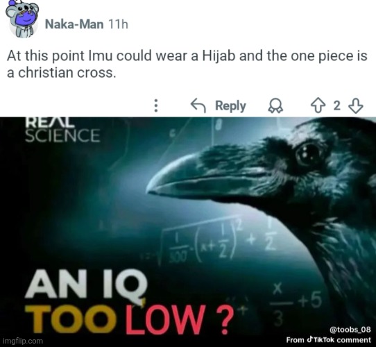 image tagged in memes,reddit,crow | made w/ Imgflip meme maker