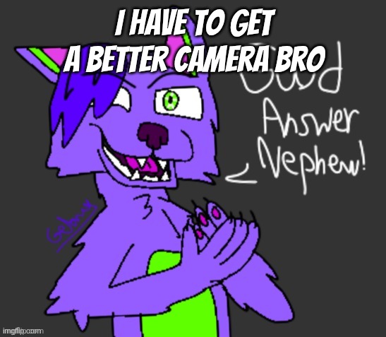 good answer nephew(thanks gebrix <3) | I have to get a better camera bro | image tagged in good answer nephew thanks gebrix 3 | made w/ Imgflip meme maker