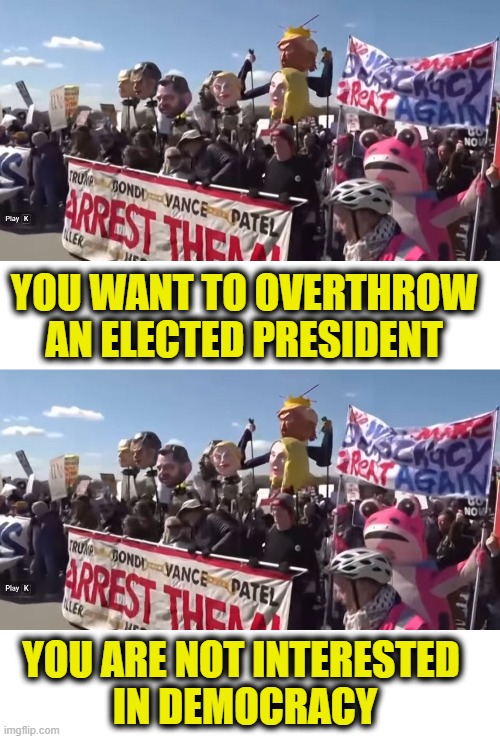 More Leftist Logic | You want to overthrow 
an elected President; You are not interested 
in democracy | image tagged in leftists | made w/ Imgflip meme maker