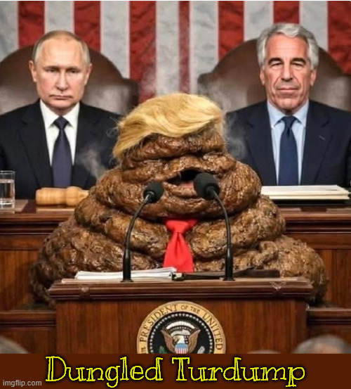 Dungled Turdump | Dungled Turdump | image tagged in dungled turdump,trump lies like a sack of shit,trump isn't full of it | made w/ Imgflip meme maker