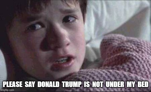 Cause for Nightmares | please  say  donald  trump  is  not  under  my  bed | image tagged in donald trump | made w/ Imgflip meme maker