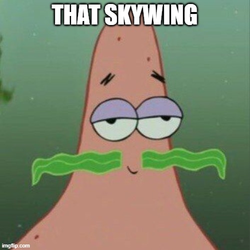 Patrick Seaweed Mustache | that skywing | image tagged in patrick seaweed mustache | made w/ Imgflip meme maker