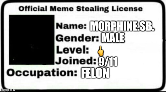 Meme Stealing License | morphine.sb. Male ? 9/11 Felon | image tagged in meme stealing license | made w/ Imgflip meme maker