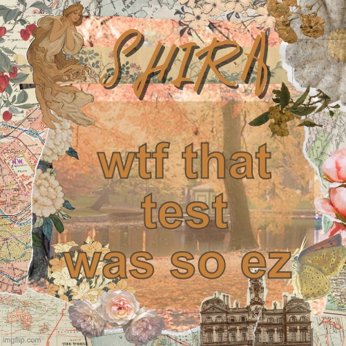 shira’s sweet temp | wtf that test was so ez | image tagged in shira s sweet temp | made w/ Imgflip meme maker