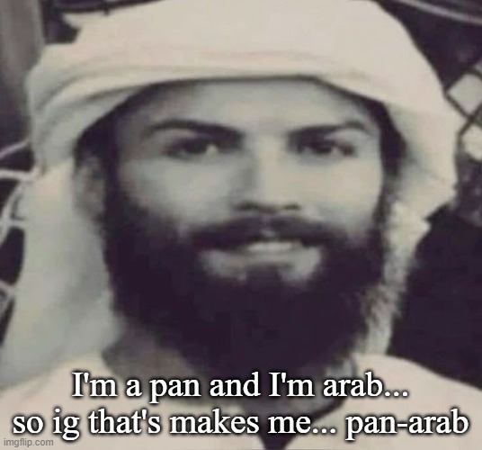 Muslimano Ronaldo | I'm a pan and I'm arab... so ig that's makes me... pan-arab | image tagged in muslimano ronaldo | made w/ Imgflip meme maker