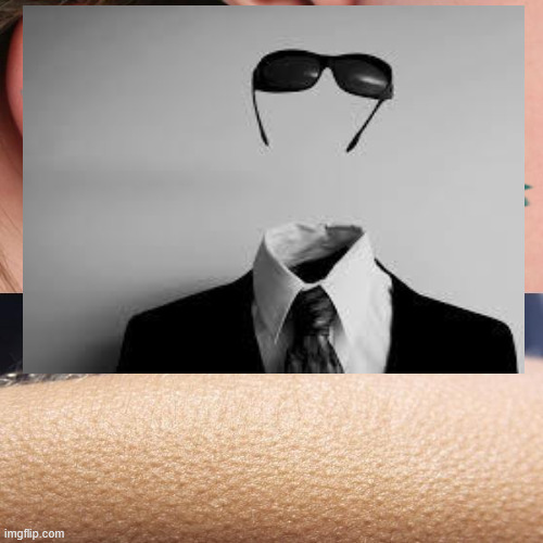 Whisper and Goosebumps | image tagged in whisper and goosebumps,hairy skin,invisnible bman,memes,regret,pore | made w/ Imgflip meme maker