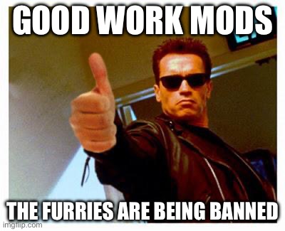 terminator thumbs up | good work mods; the furries are being banned | image tagged in terminator thumbs up | made w/ Imgflip meme maker