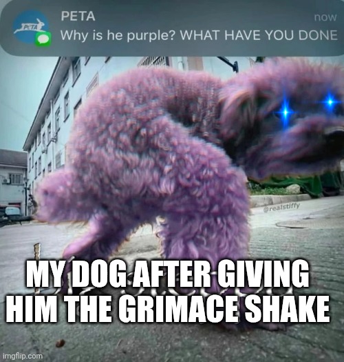 I know this is a dead meme but this is the first thing that popped into my head when I saw the image | My dog after giving him the grimace shake | image tagged in big steppa | made w/ Imgflip meme maker