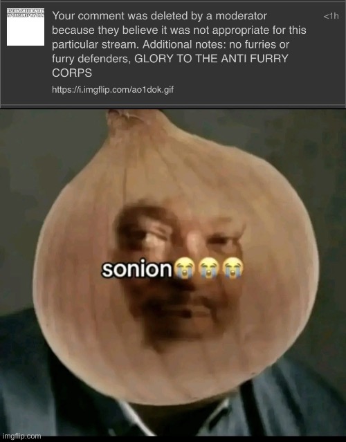 Cornball orangutan can’t take other opinions | image tagged in sonion | made w/ Imgflip meme maker