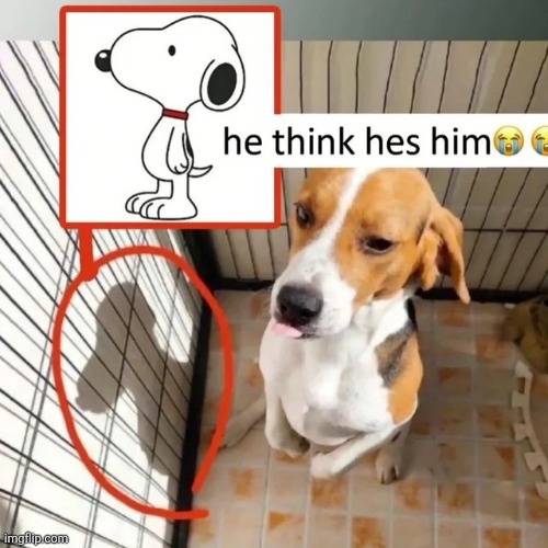 image tagged in msmg | made w/ Imgflip meme maker