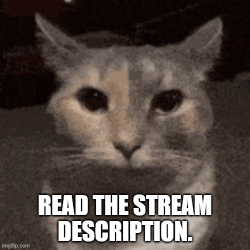 Announcement | Read the stream description. | image tagged in cat | made w/ Imgflip meme maker