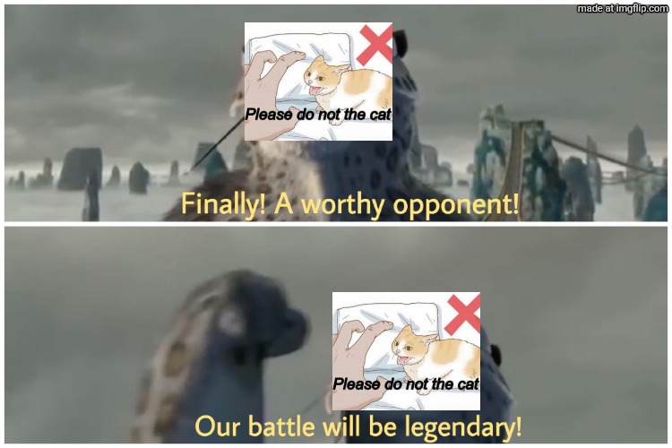 Our Battle Will Be Legendary | image tagged in our battle will be legendary | made w/ Imgflip meme maker