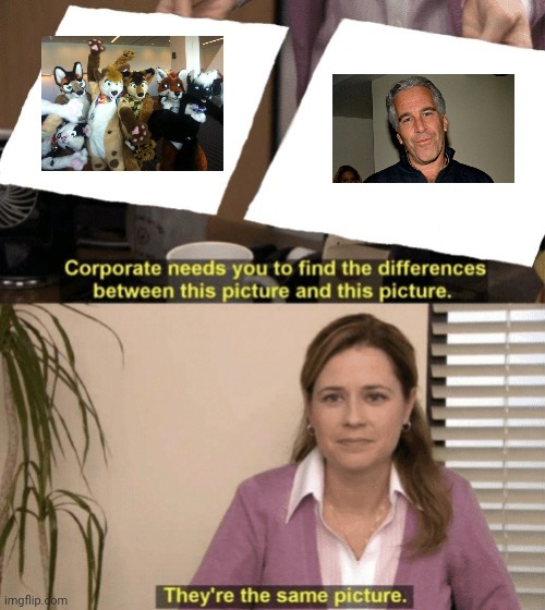 Corporate needs you to find the differences | image tagged in corporate needs you to find the differences | made w/ Imgflip meme maker