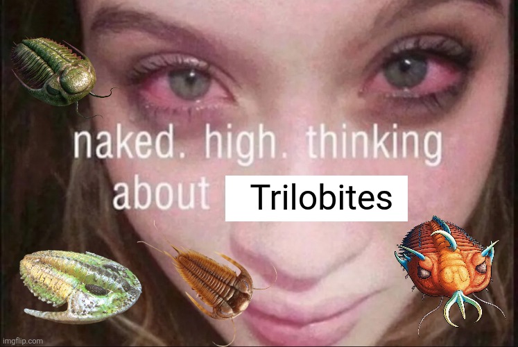 THERE ARE TRILOBITES UNDER MY SKIN!! | Trilobites | image tagged in memes,animal meme,funny,history memes,humor,lol | made w/ Imgflip meme maker