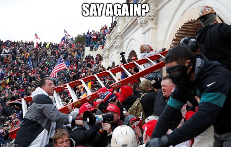 Qanon - Insurrection - Trump riot - sedition | Say again? | image tagged in qanon - insurrection - trump riot - sedition | made w/ Imgflip meme maker