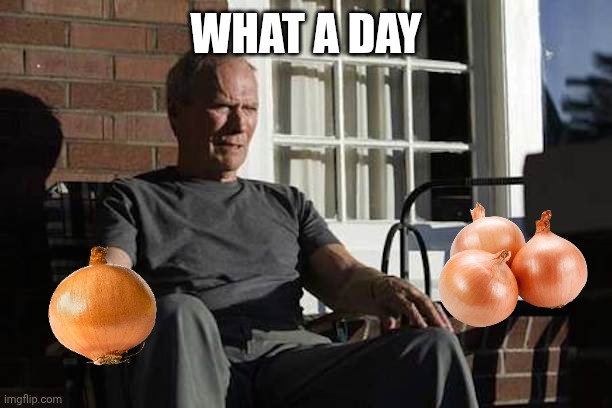 What a day | What a day | image tagged in clint eastwood gran torino,onion,memories,memes,onions,vegetable | made w/ Imgflip meme maker