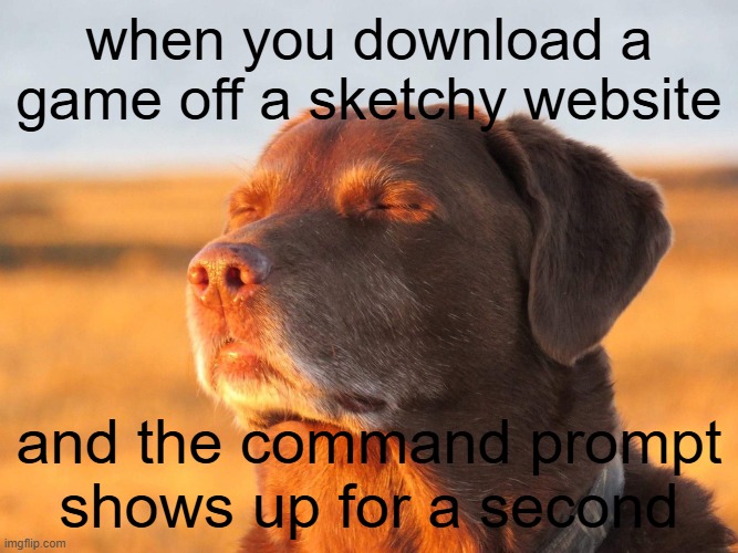 Cooked Dog | when you download a game off a sketchy website; and the command prompt shows up for a second | image tagged in cooked dog | made w/ Imgflip meme maker