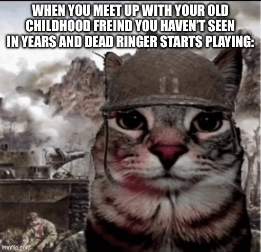 Thousand yard stare cat | When you meet up with your old childhood freind you haven’t seen in years and dead ringer starts playing: | image tagged in thousand yard stare cat | made w/ Imgflip meme maker