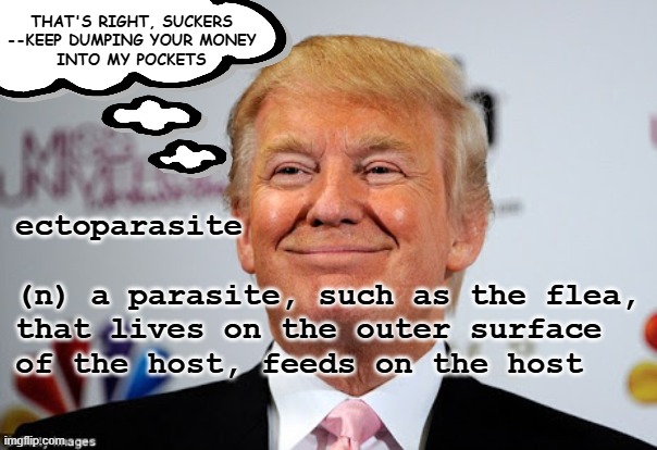 Heya, Trump-cult kids, Dear Leader can't run again so why is he still pumping you for "contributions"? | That's right, suckers
--keep dumping your money
into my pockets; ectoparasite 
 
(n) a parasite, such as the flea,
that lives on the outer surface
of the host, feeds on the host | image tagged in donald trump approves,trump unfit unqualified dangerous,lying,grifter | made w/ Imgflip meme maker
