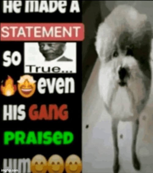 he made a statement so true | image tagged in he made a statement so true | made w/ Imgflip meme maker