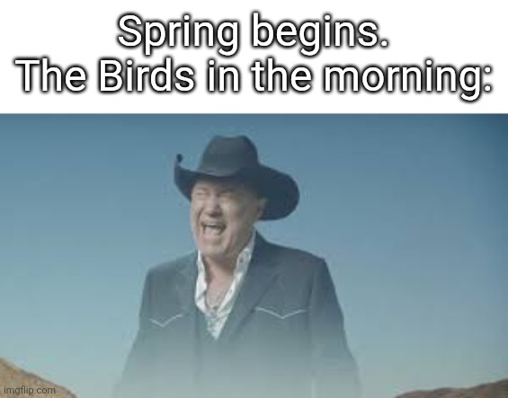 Aaaaaaaaaaaaaaa | Spring begins.
The Birds in the morning: | image tagged in aaaaaaaaaaaaaaaaaaaaaaaaaaa | made w/ Imgflip meme maker