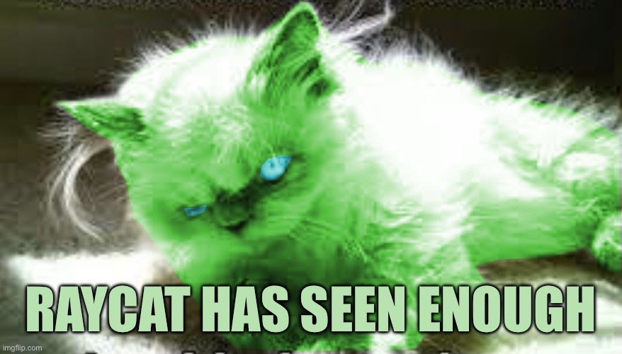 mad raycat | Raycat has seen enough | image tagged in mad raycat | made w/ Imgflip meme maker