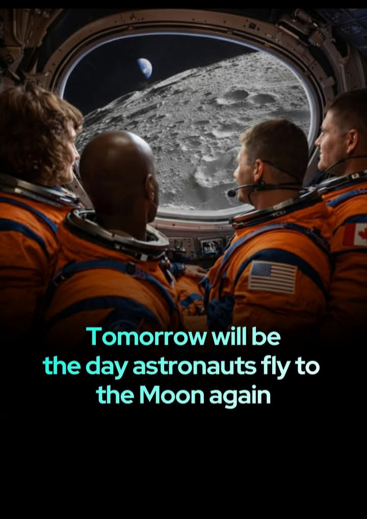 Funny Blank Meme Template