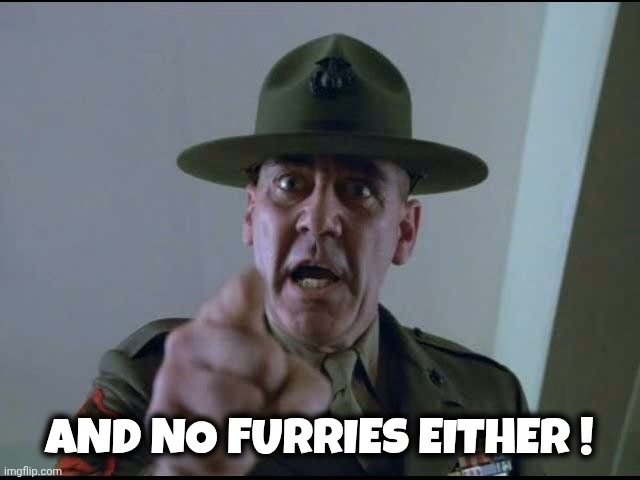 sargent hartman | and no furries either ! | image tagged in sargent hartman | made w/ Imgflip meme maker