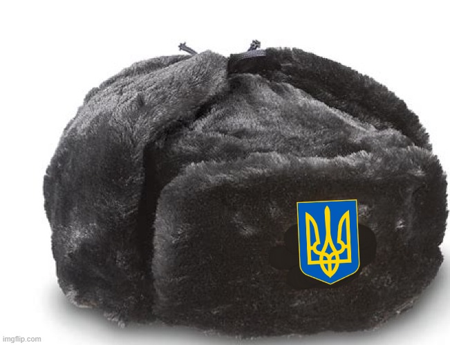 Ukrainian Ushanka (looks better than the Soviet hat) | image tagged in ushanka,ukraine,ukrainian,hat,ussr | made w/ Imgflip meme maker