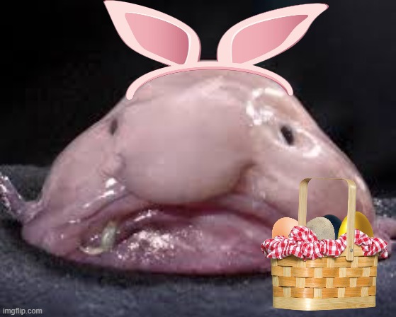 Blobfish easter bunny | image tagged in blob | made w/ Imgflip meme maker