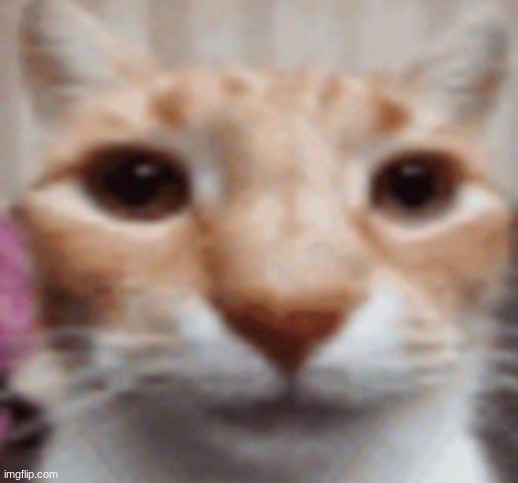 image tagged in pablo | made w/ Imgflip meme maker