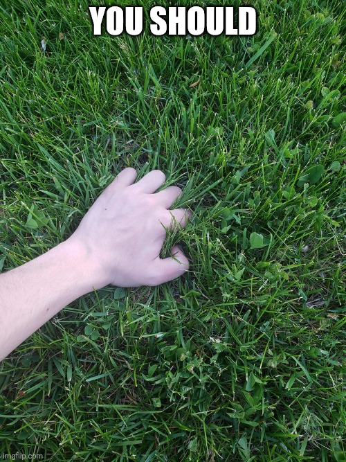 Touching grass | You should | image tagged in touching grass | made w/ Imgflip meme maker
