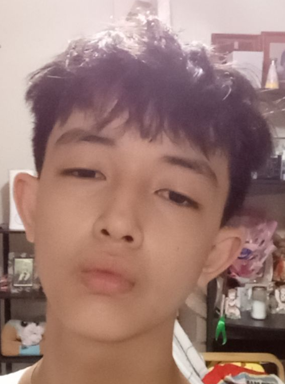 Jheyu Said Salvador Garciniego Blank Meme Template