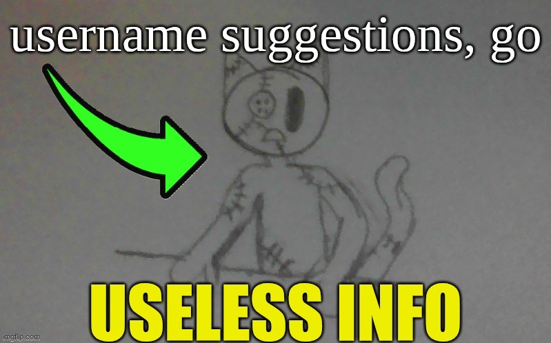 puffy useless info | username suggestions, go | image tagged in puffy useless info | made w/ Imgflip meme maker