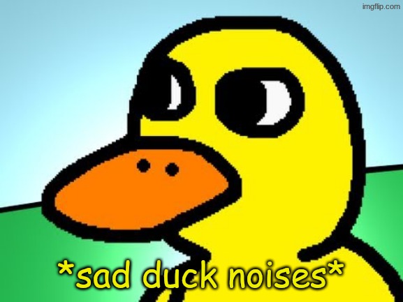 Duck Song | *sad duck noises* | image tagged in duck song | made w/ Imgflip meme maker