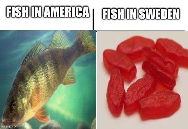 Fish | Fish in Sweden; Fish in America | image tagged in t chart,fish,swedish fish | made w/ Imgflip meme maker