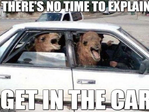 I plead the fifth | image tagged in get in the car,bank | made w/ Imgflip meme maker