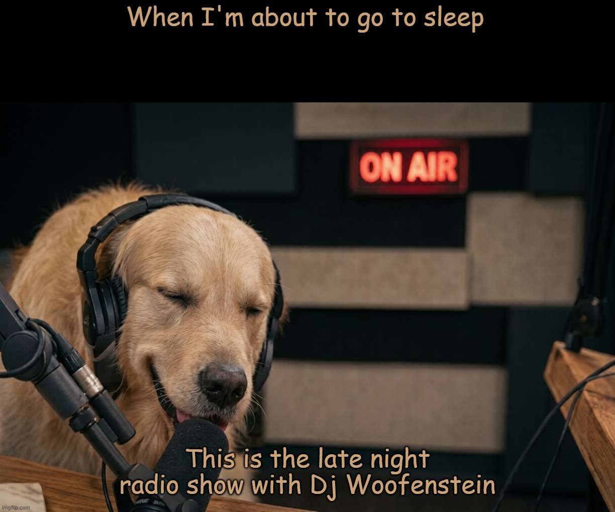 Only the best hits | When I'm about to go to sleep; This is the late night radio show with Dj Woofenstein | image tagged in dogs,humor,music,radio,animals | made w/ Imgflip meme maker