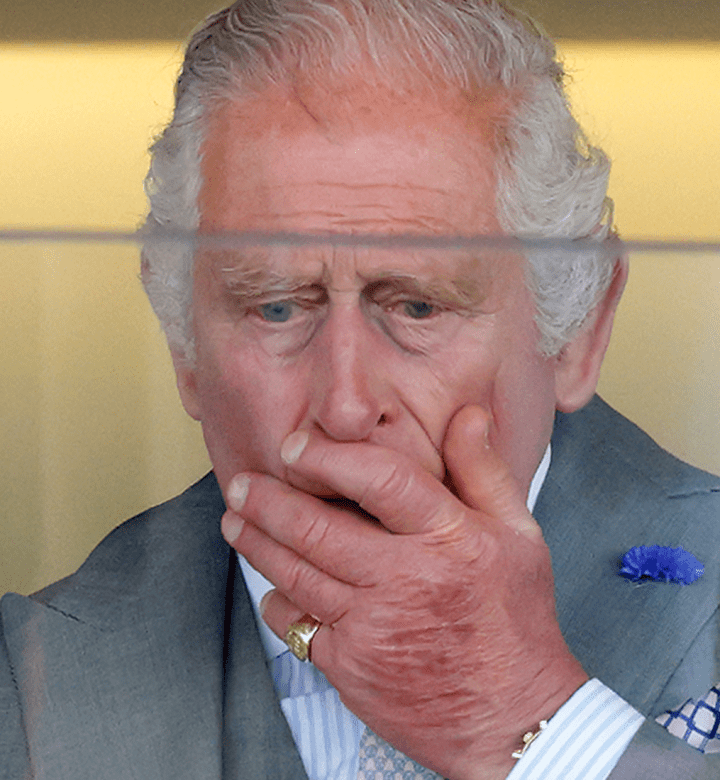 My King? Blank Meme Template