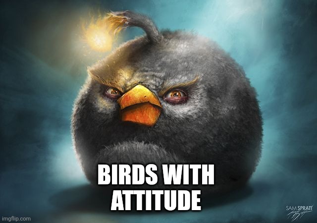 Birds with 
Attitude | image tagged in angry birds bomb | made w/ Imgflip meme maker