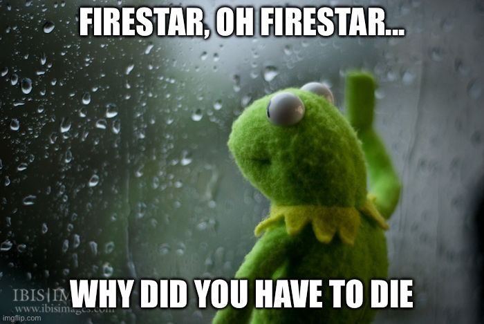Depressed | Firestar, oh firestar... why did you have to die | image tagged in kermit window | made w/ Imgflip meme maker
